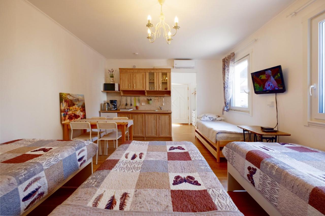 Eco-Lux Apart With Free Bicycles End Free Parking ليوبليانا المظهر الخارجي الصورة