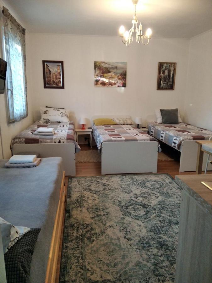 Eco-Lux Apart With Free Bicycles End Free Parking ليوبليانا المظهر الخارجي الصورة