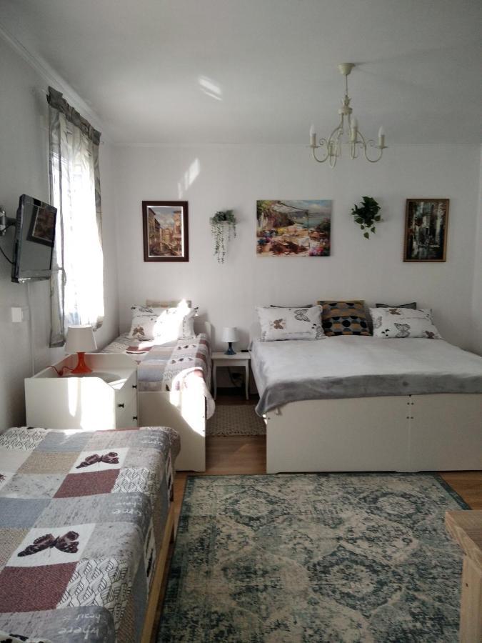 Eco-Lux Apart With Free Bicycles End Free Parking ليوبليانا المظهر الخارجي الصورة