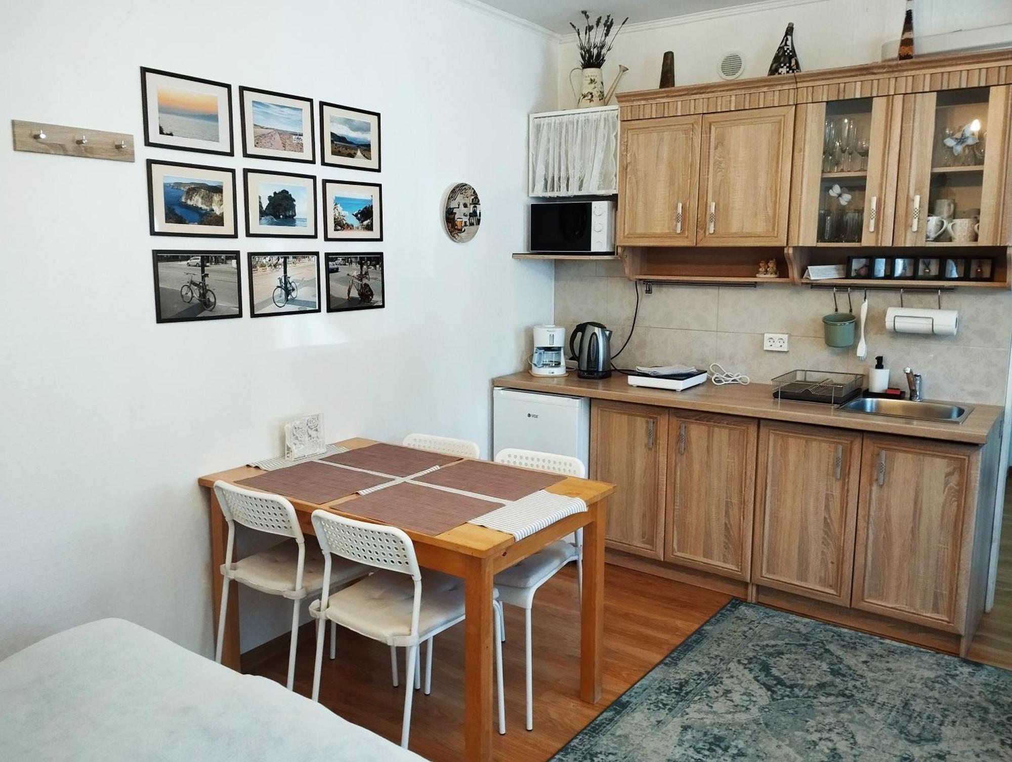 Eco-Lux Apart With Free Bicycles End Free Parking ليوبليانا المظهر الخارجي الصورة